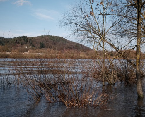 Moselle riverside 2