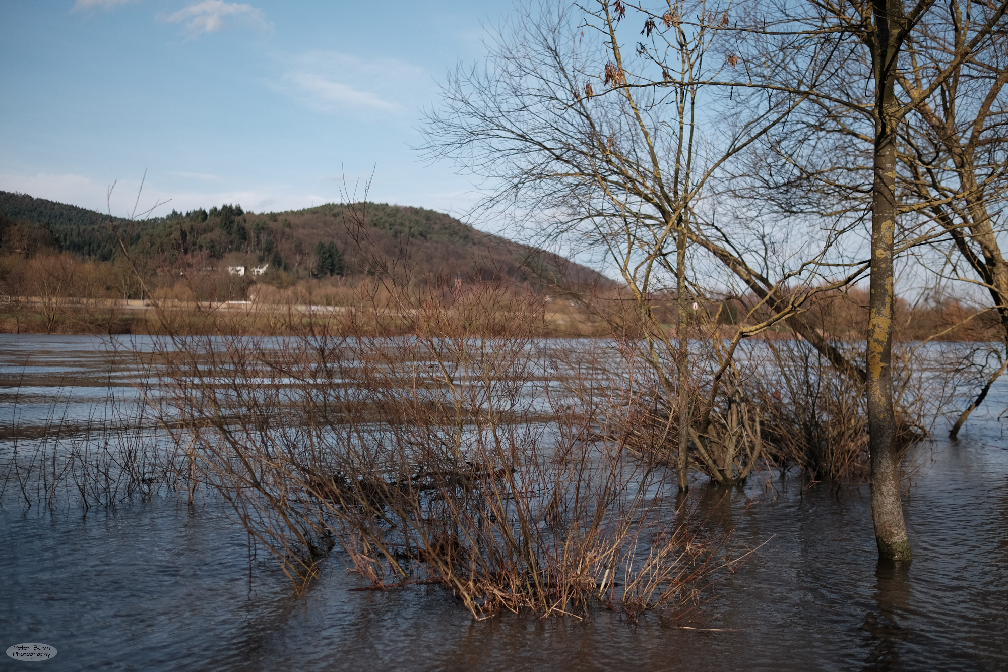 Moselle riverside 2