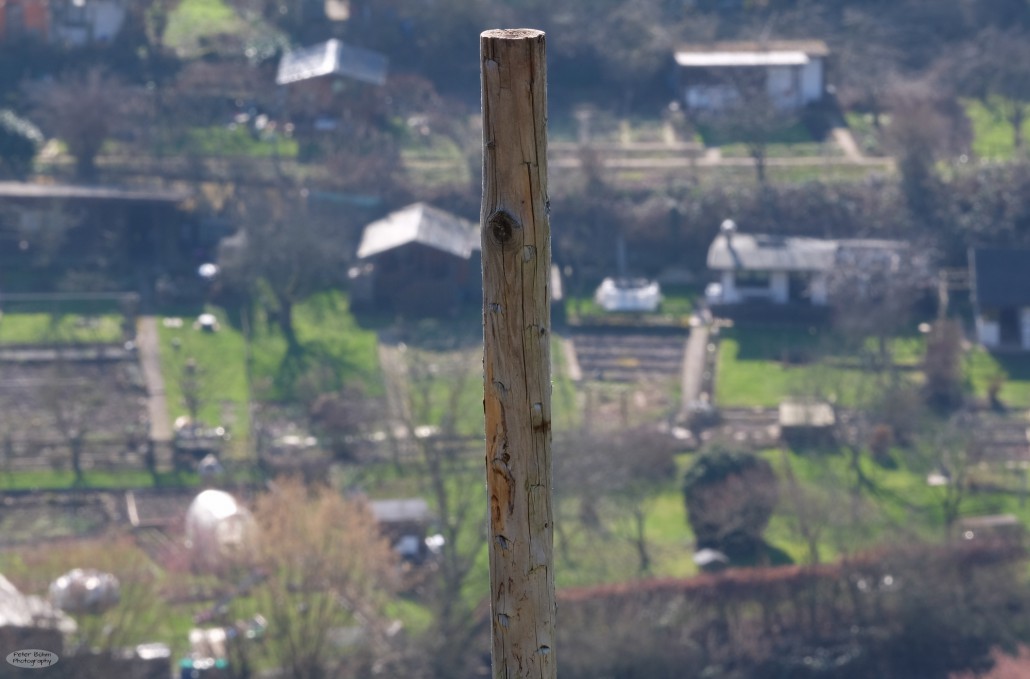 The background of the fence post is a good example for the compression effect of telephoto lenses